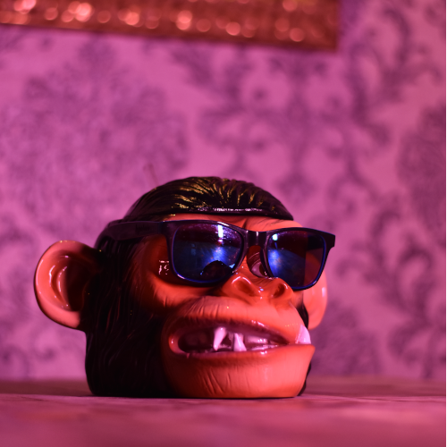 Funky Monkey Sin