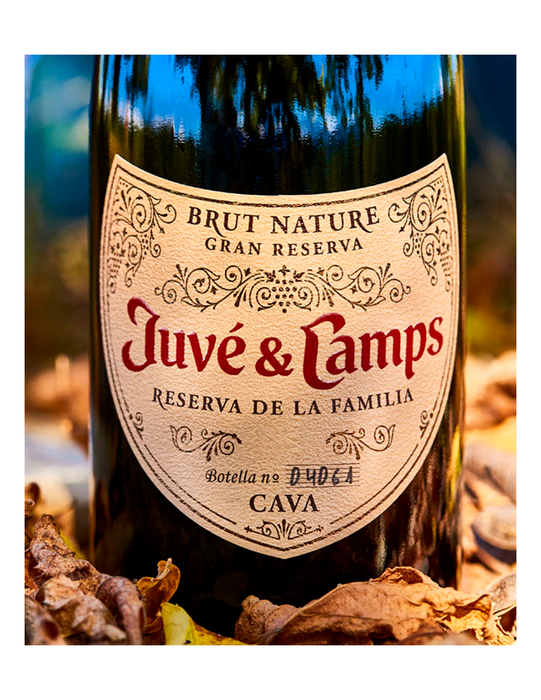 Cava Juvé & Camps Reserva De La Familia