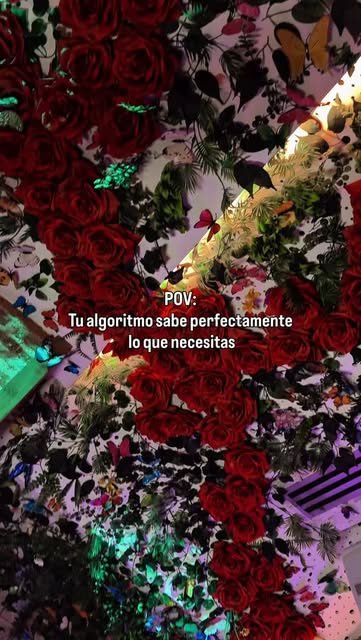 El techo de rosas