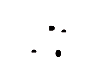 Pet friendly